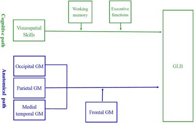 Getting Lost Behavior in Patients with Mild Alzheimer’s Disease: A Cognitive and Anatomical Model